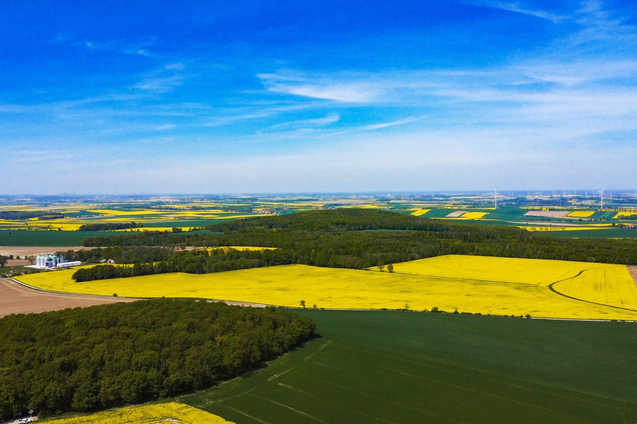 Działka budowlana Ujazd Górny. Zdjęcie 6