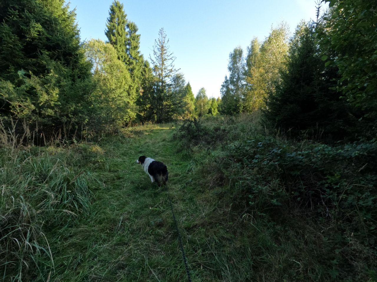 Działka rolna Sól Na Bugaju, Brak ulicy. Zdjęcie 15