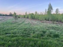 Działka rolno-budowlana Korzeń. Zdjęcie 2