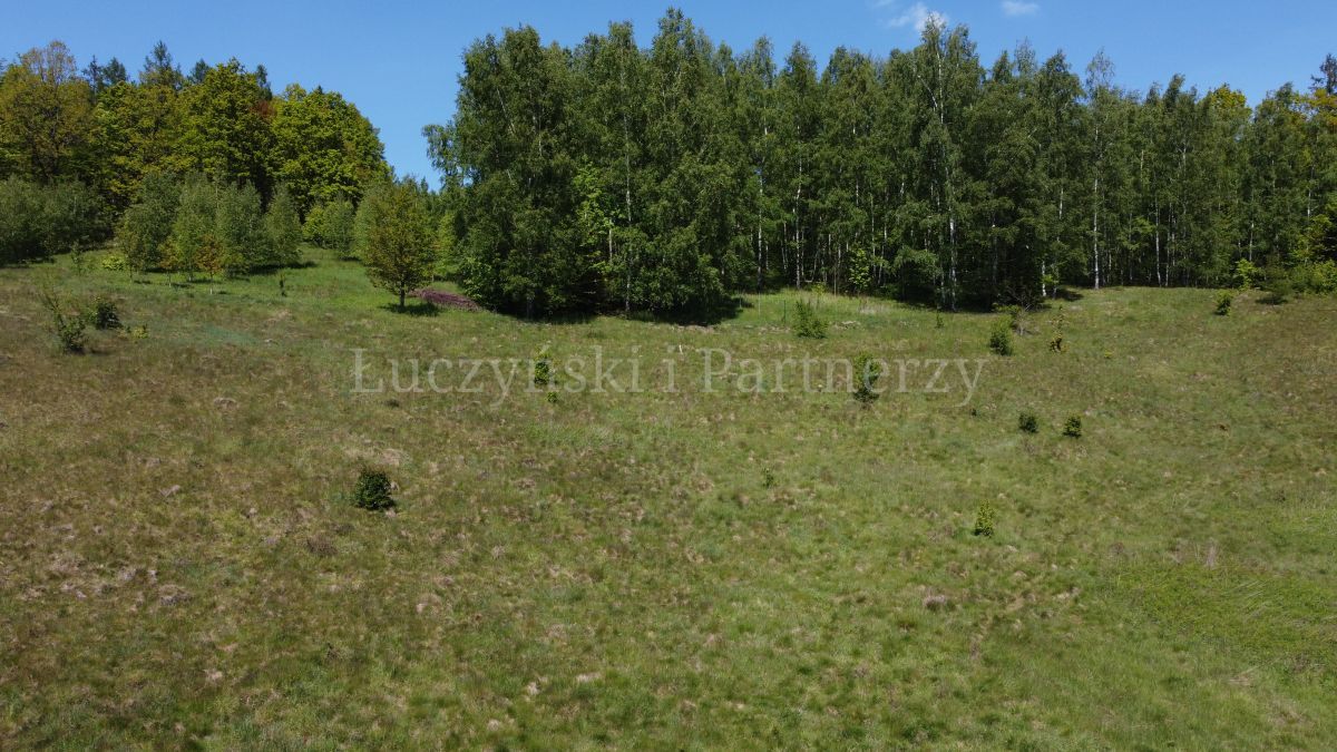 Działka inwestycyjna Karpniki. Zdjęcie 8