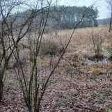 Działka rolna Łapinóż. Zdjęcie 4