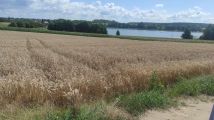 Działka rolno-budowlana Chrzypsko Wielkie, ul. Widokowa. Zdjęcie 3