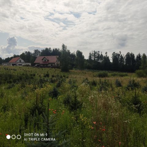 Działka budowlana Sząbruk, ul. Bukowa. Zdjęcie 1