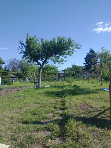 Działka rod Wrocław Osobowice, ul. Krotoszyńska. Zdjęcie 1