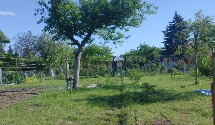 Działka rod Wrocław Osobowice, ul. Krotoszyńska