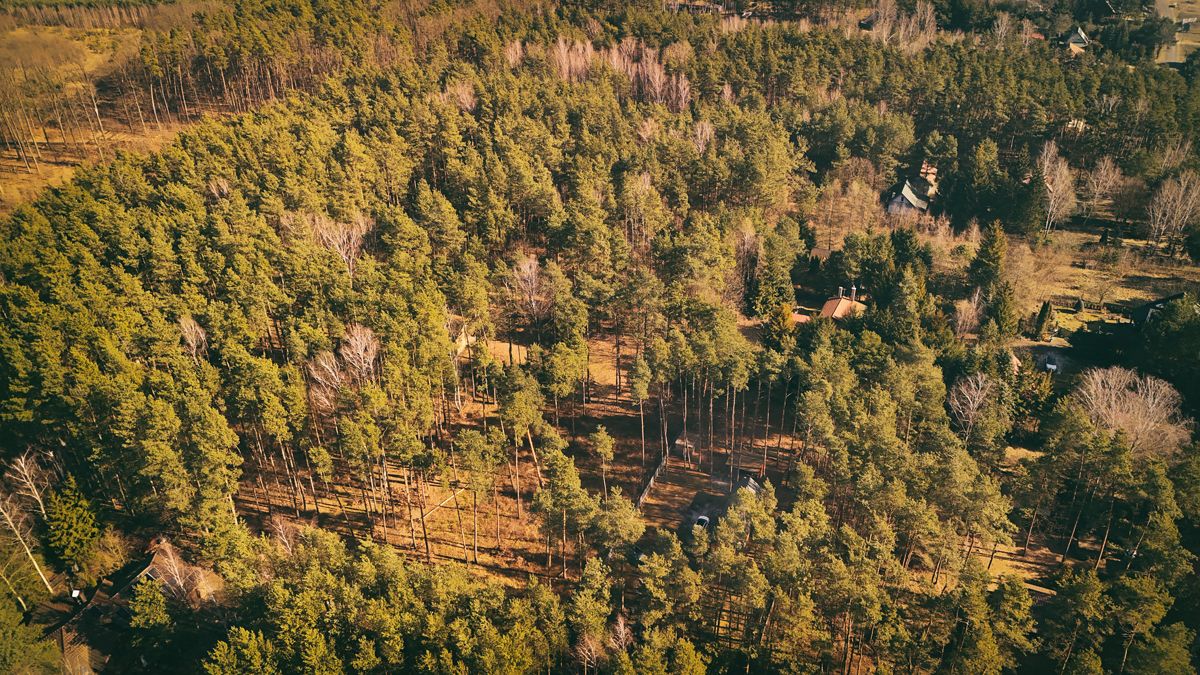 dom wolnostojący, 3 pokoje Tartak Brzózki, ul. Cichej Sowy. Zdjęcie 4
