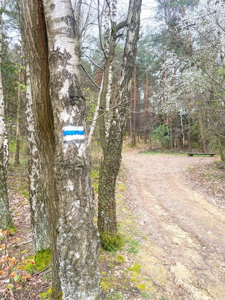 Działka rolno-budowlana Lipnica Górna Granice. Zdjęcie 4