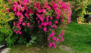 Działka rod Nowy Sącz, ul. 29 Listopada