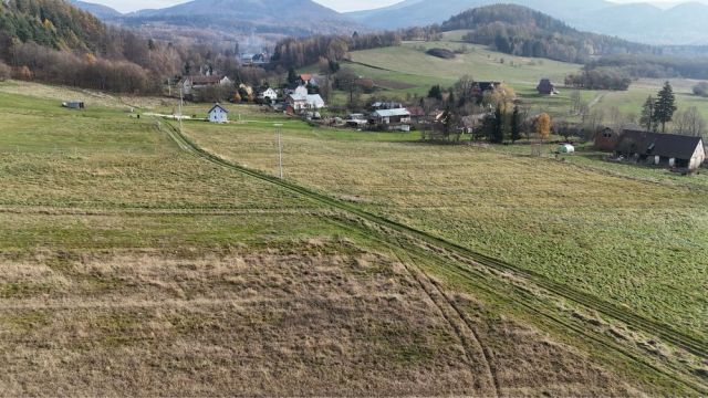 Działka rolna Idzików. Zdjęcie 1