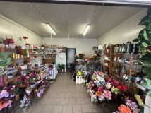 Lokal Toruń. Zdjęcie 2