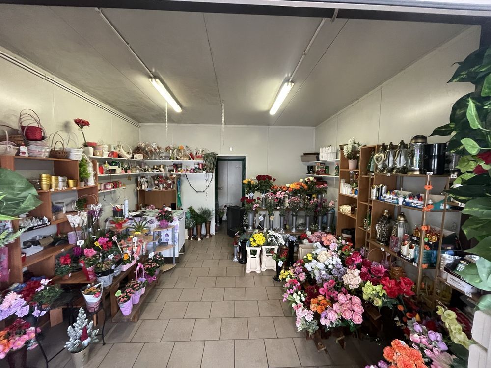 Lokal Toruń. Zdjęcie 3