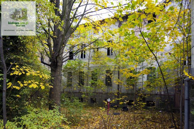 Lokal Duszniki-Zdrój. Zdjęcie 3