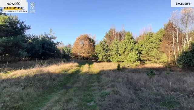 Działka rekreacyjna Krzywnica. Zdjęcie 1