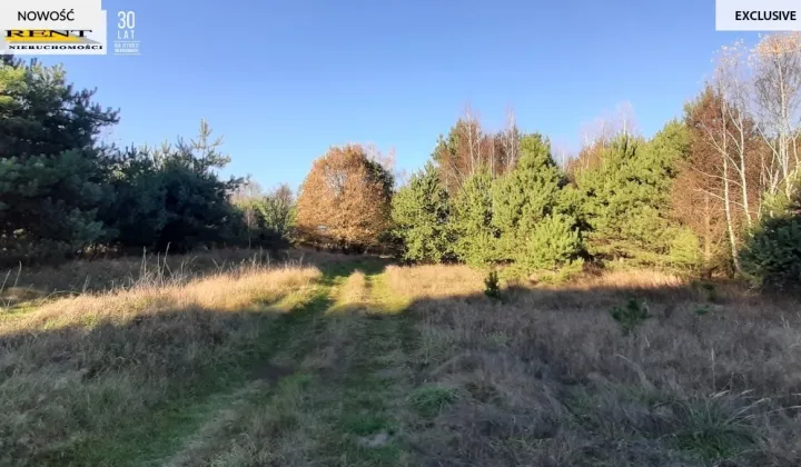 Działka rekreacyjna Krzywnica