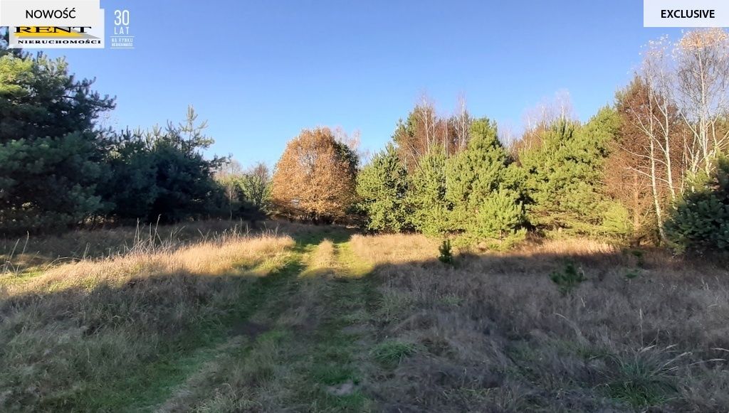 Działka rekreacyjna Krzywnica