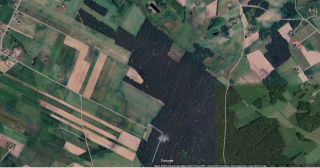 Działka leśna Agnieszkowo. Zdjęcie 1