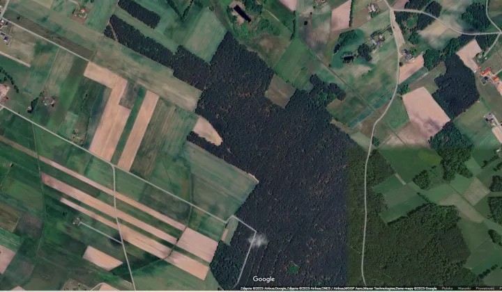 Działka leśna Agnieszkowo