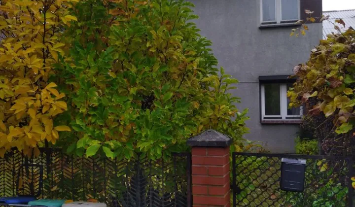 dom szeregowy, 3 pokoje Gorzów Wielkopolski