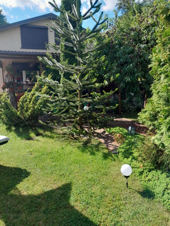 Działka rod Szczecin Warszewo, ul. ks. bp. Władysława Bandurskiego