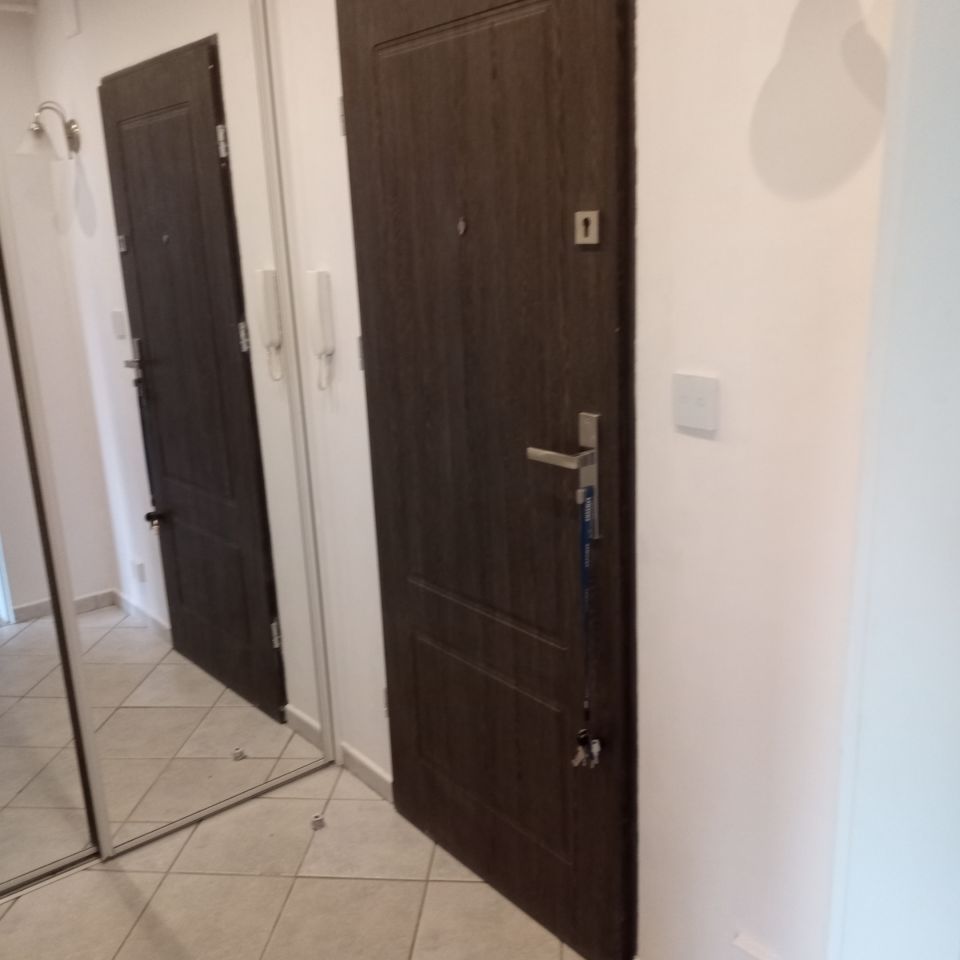 Mieszkanie 1-pokojowe Cieszyn Bobrek, ul. Alojzego Milaty. Zdjęcie 2