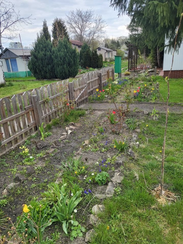 Działka rod Nowa Sól, ul. Chopina. Zdjęcie 2