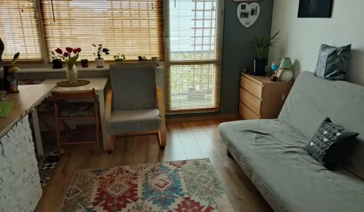 Mieszkanie 2-pokojowe Działdowo