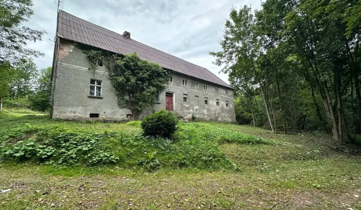 dom wolnostojący Nagodzice