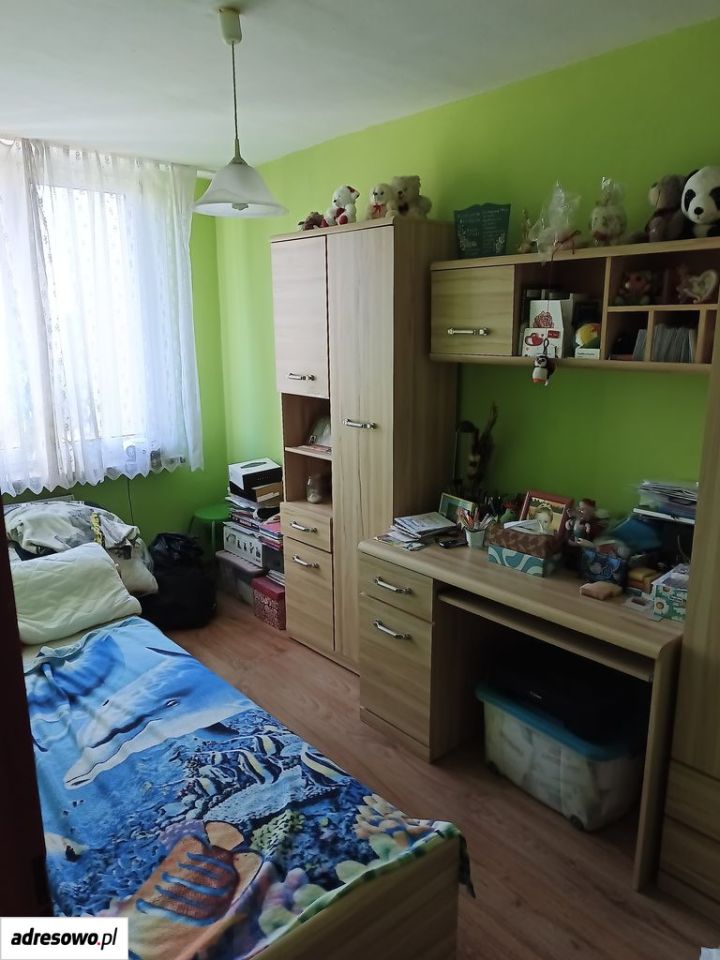 Zdjęcie 5