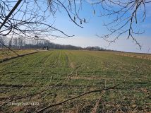 Działka siedliskowa Góry. Zdjęcie 2