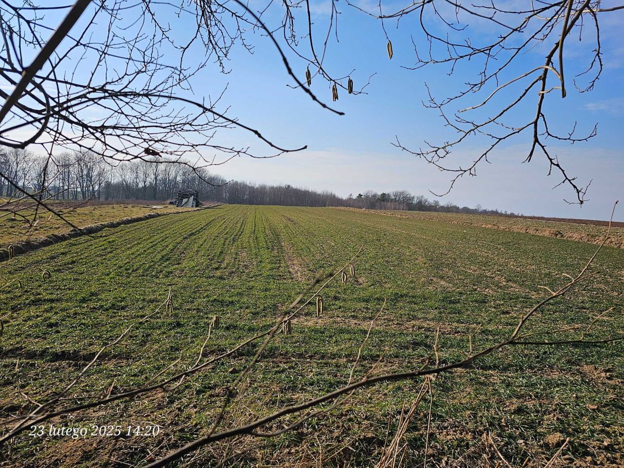 Działka siedliskowa Góry. Zdjęcie 3