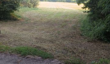 Działka rolna Żychlin, ul. Leśna