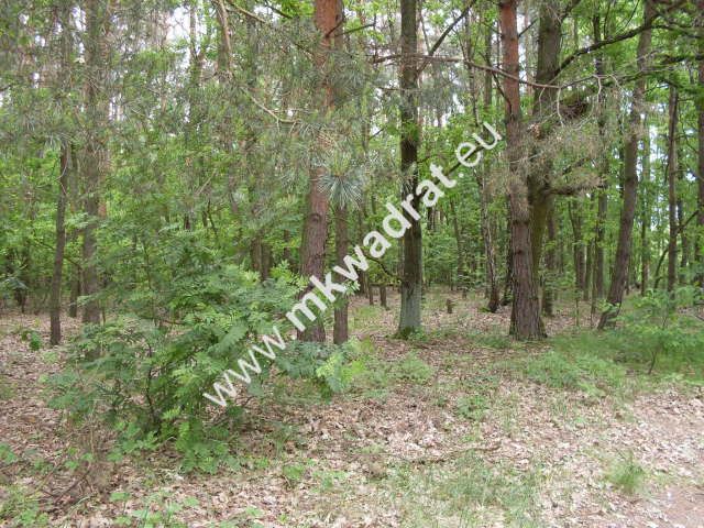 Działka budowlana Marynin. Zdjęcie 7