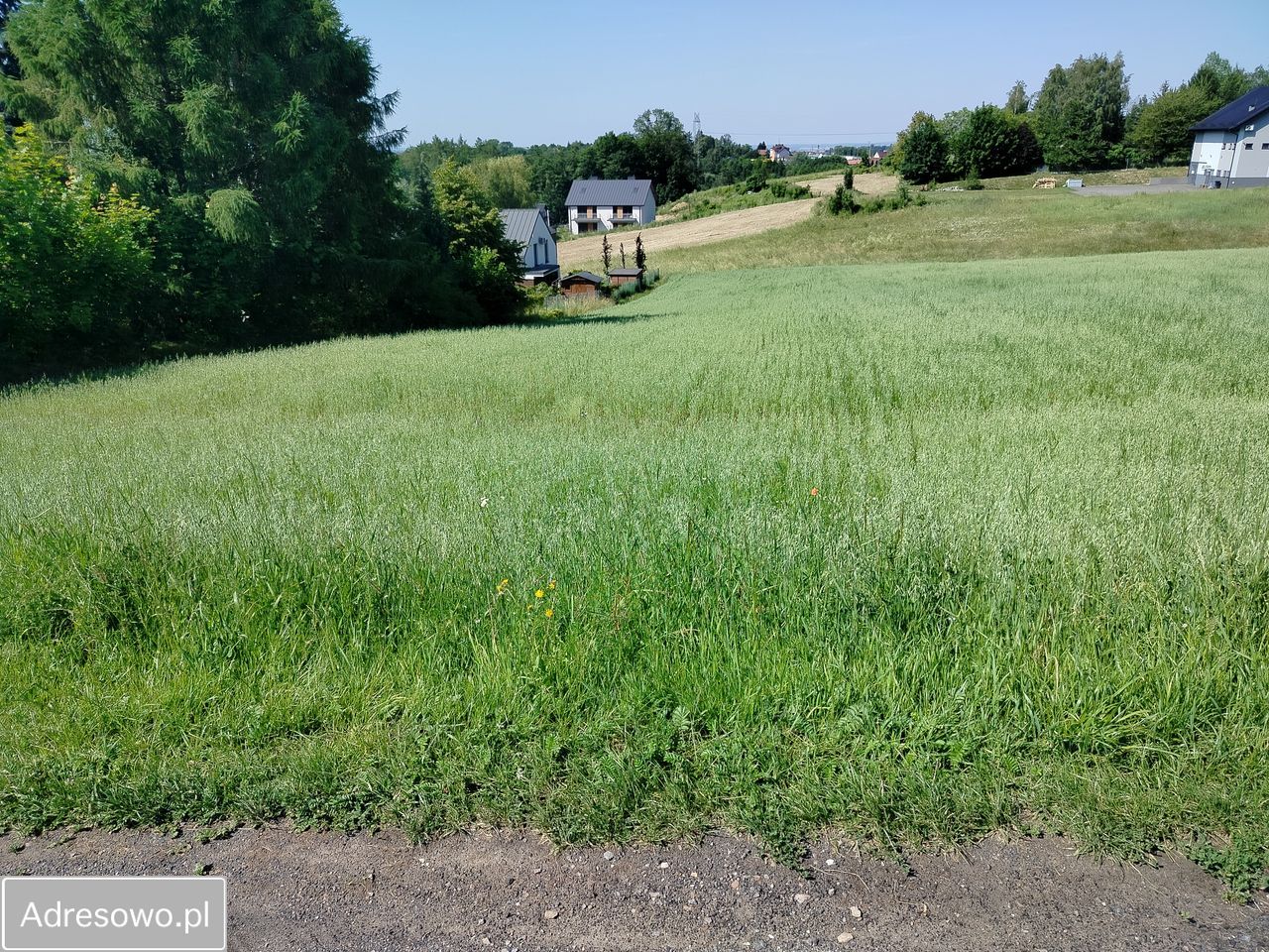 Działka budowlana Mogilany, ul. Dębowa. Zdjęcie 16
