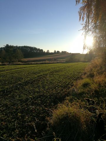 Działka budowlana Bibice, ul. Niezapominajek. Zdjęcie 1