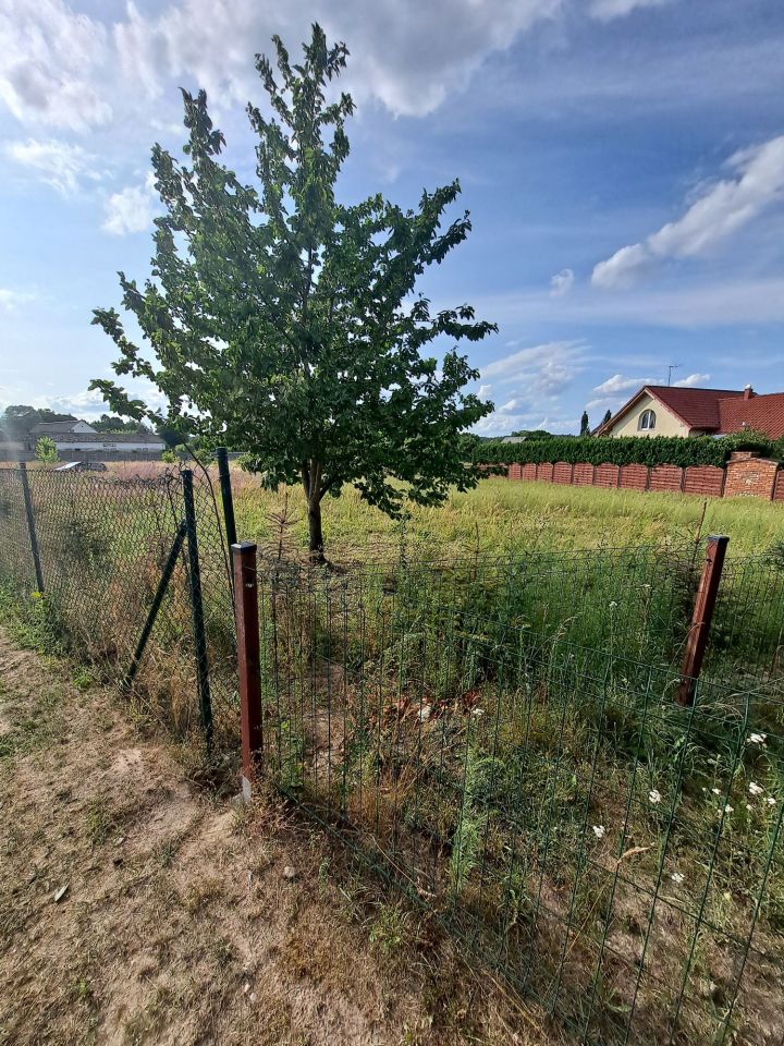 Działka budowlana Psarskie. Zdjęcie 6