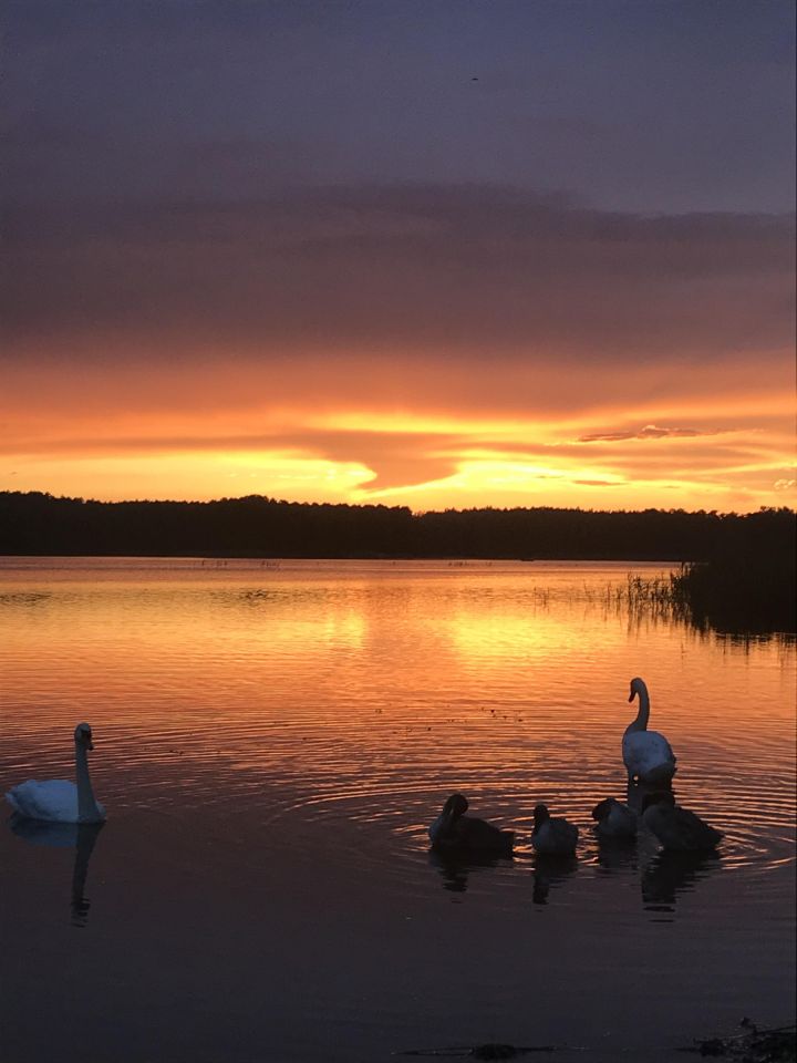 dom wolnostojący, 2 pokoje Tarnów Jezierny, ul. Jagodowa. Zdjęcie 12