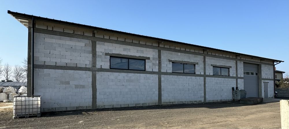 Hala/magazyn Zielona. Zdjęcie 3