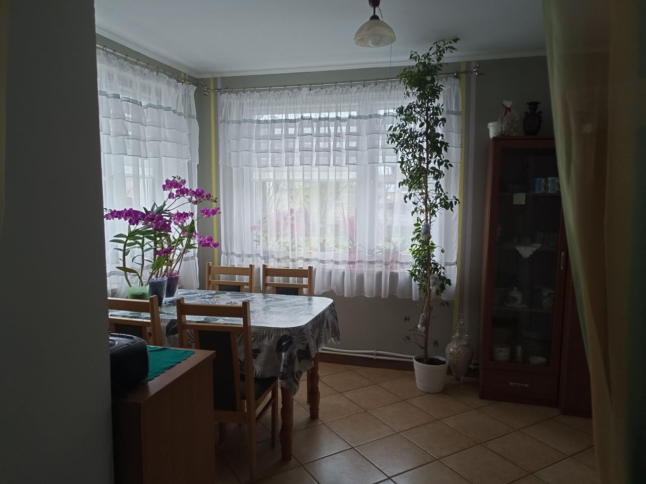 dom wolnostojący, 4 pokoje Alojzów. Zdjęcie 3