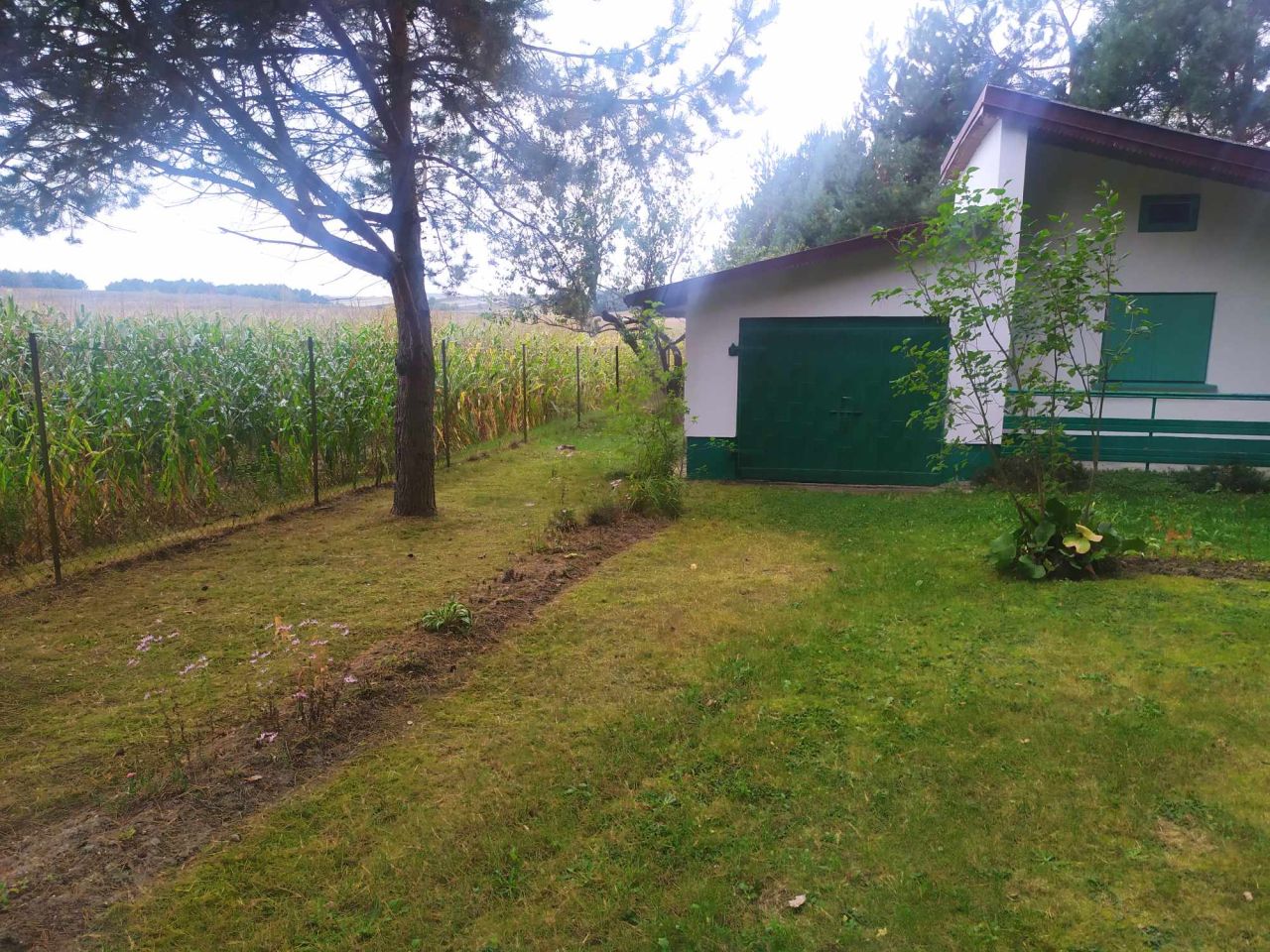 Działka rolno-budowlana Urzędów, ul. Spacerowa. Zdjęcie 7