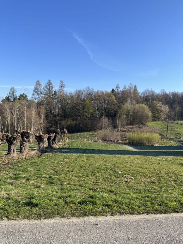 Działka budowlana Gnojnik. Zdjęcie 1