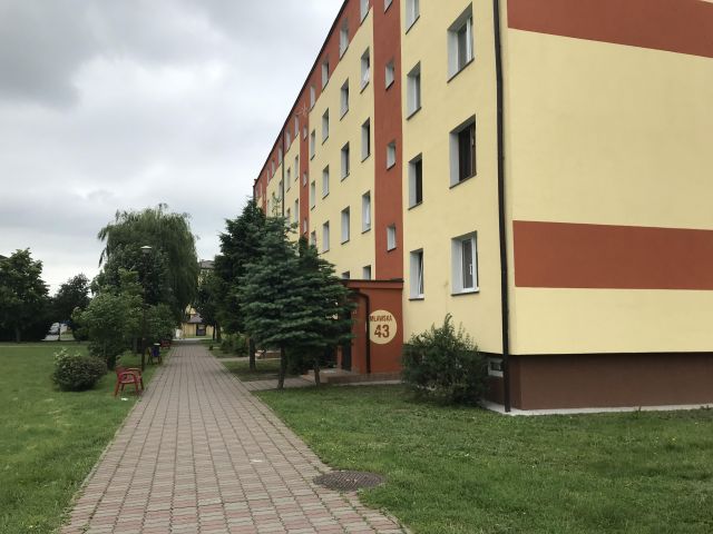 Mieszkanie 2-pokojowe Rypin, ul. Mławska. Zdjęcie 1