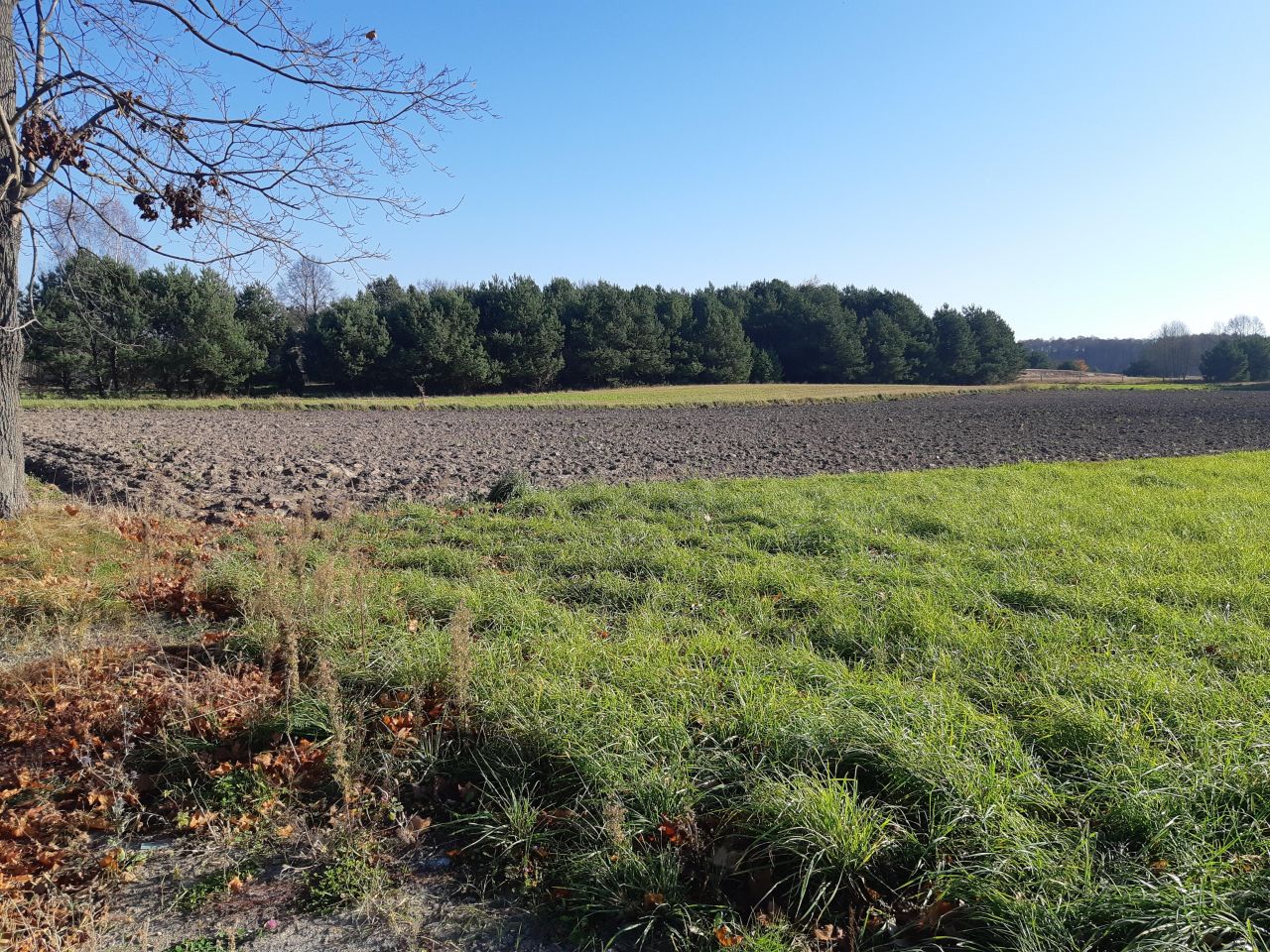 Działka budowlana Prostyń. Zdjęcie 2