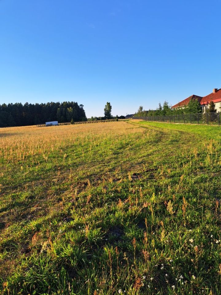 Działka budowlana Ptaszkowice