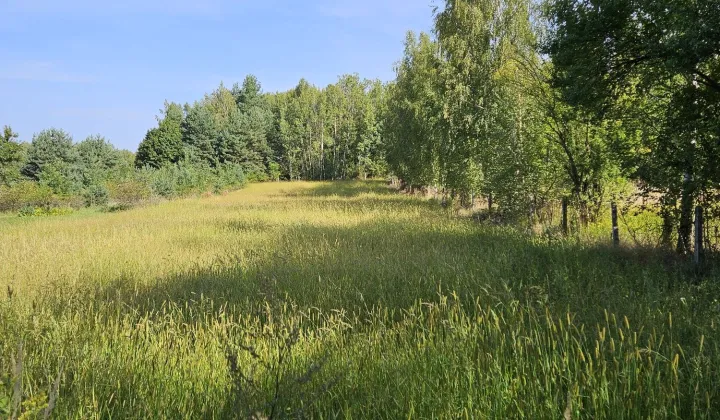 Działka budowlana Urzędów, ul. Malinowa