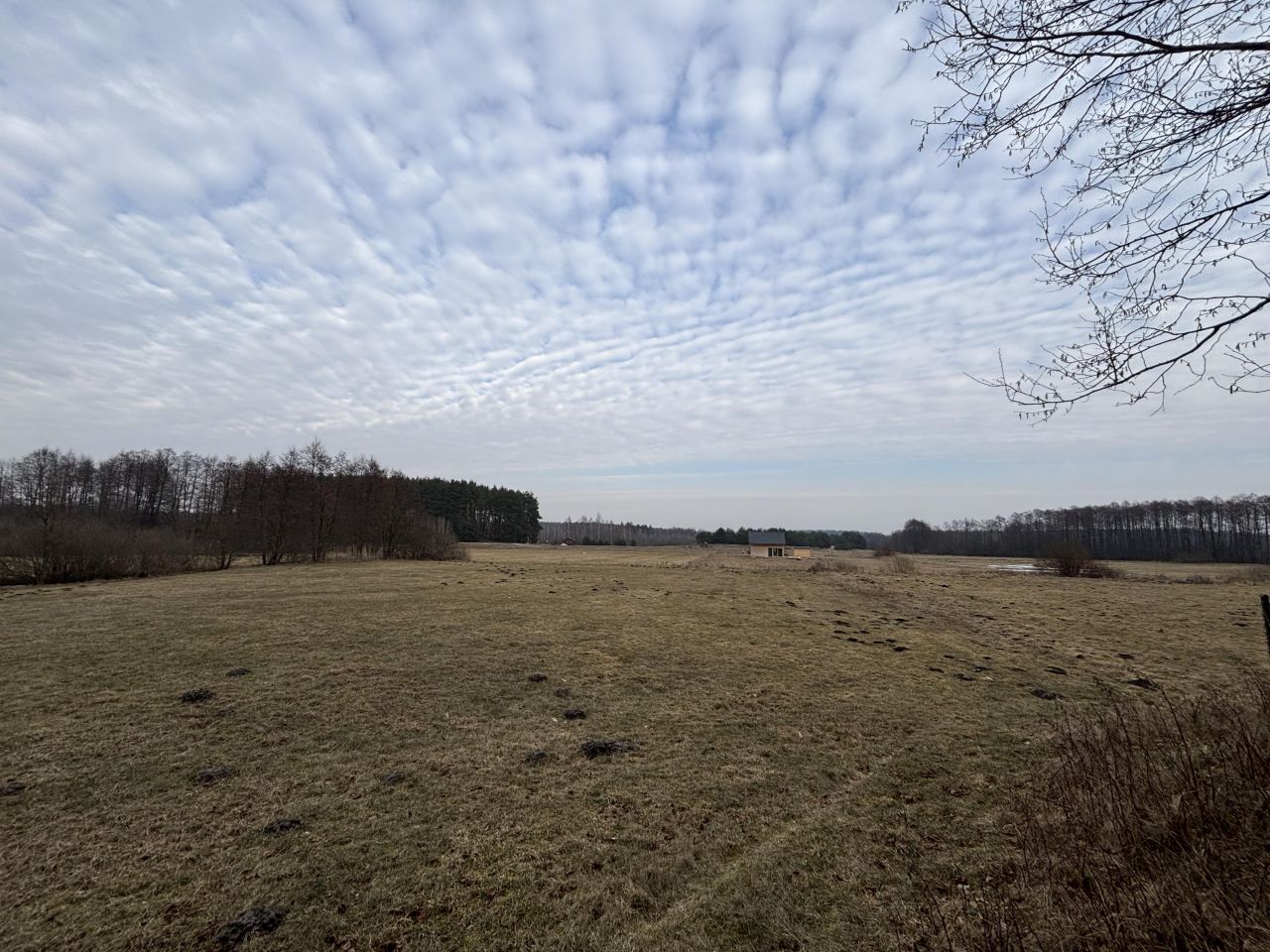 Działka budowlana Grądy. Zdjęcie 2