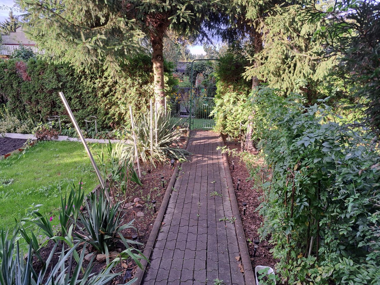 Działka rod Toruń Wrzosy, ul. Słowicza. Zdjęcie 8