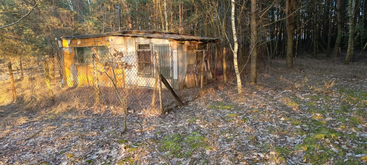 Działka rolna Stare Kościeliska, ul. Bratkowa. Zdjęcie 6