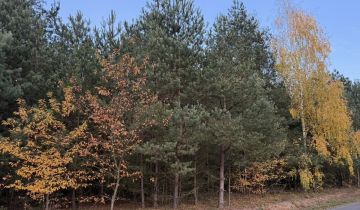 Działka budowlana Bartoszówka, ul. Pogodna