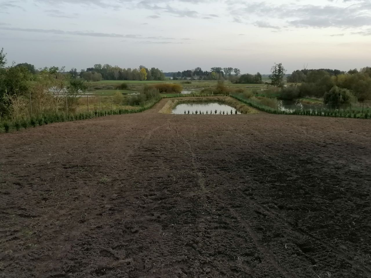 Działka siedliskowa Stara Sucha. Zdjęcie 19