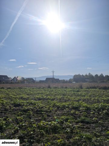 Działka budowlana Frydrychowice, ul. Górna. Zdjęcie 1